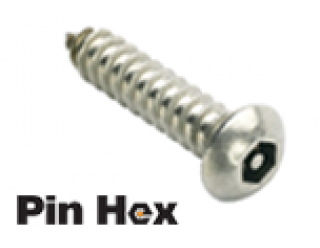 DTORSEG017 Tornillo de Seguridad Pin Hex