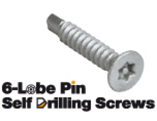 DTORSEG012 Tornillo de Seguridad Self Drilling Screws