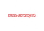RETRARI-232061 REP. ENCENDIDO  REF 232061 RETRACTILADORA PISTOLA  RIPACK 2200-3000